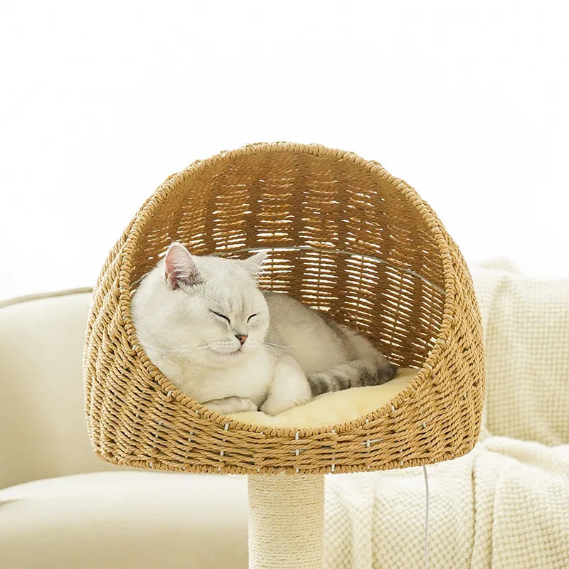 Cat Scratching Climbing Tree with Rattan Weaving House Pet Grinding Pawl Sisal Scratch Pole Cats Scratcher Frame Nest