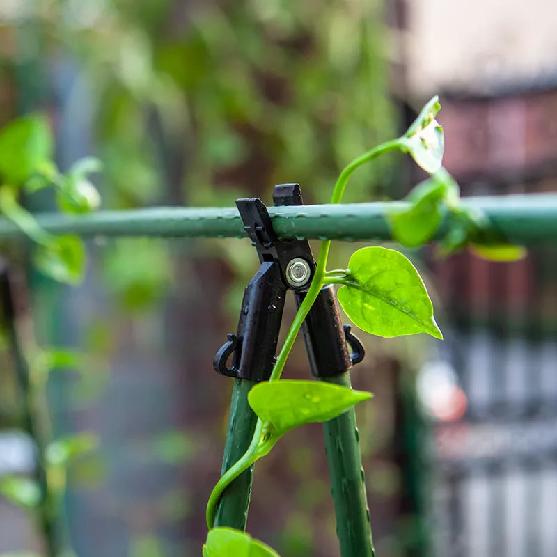 Cucumber Trellis Set A-Frame For Garden Vegetable Plant Grow Supports Fit Climbing Plant Detachable With Net And Clips