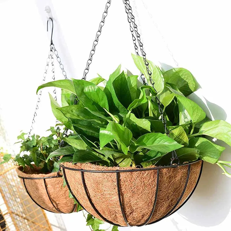 Metal Hanging Basket For Plants Flower Garden Pot Planters 8/10 Inch Round Wire Plant Holder Pots For Home Balcony Decoration