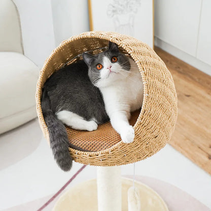 Cat Scratching Climbing Tree with Rattan Weaving House Pet Grinding Pawl Sisal Scratch Pole Cats Scratcher Frame Nest