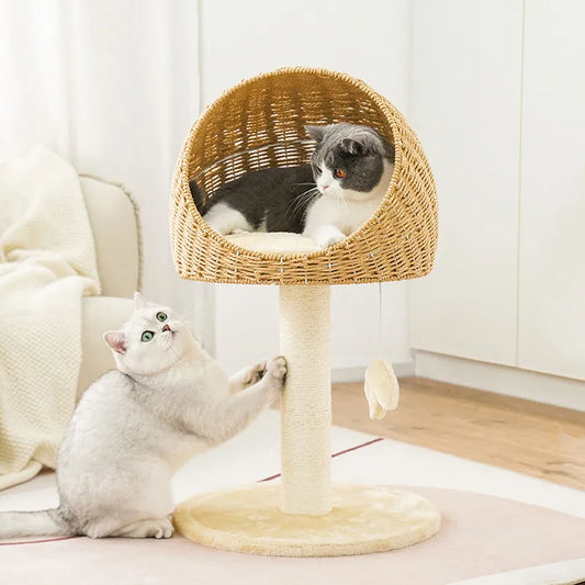 Cat Scratching Climbing Tree with Rattan Weaving House Pet Grinding Pawl Sisal Scratch Pole Cats Scratcher Frame Nest